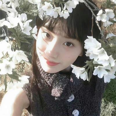 纽泽西爱未眠